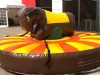 bullriding kaufen
