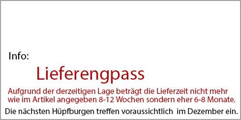 Hüpfburg kaufen